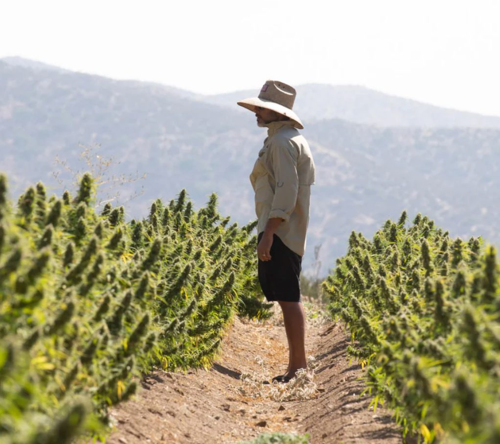 Meet: Hemp Valley Farm